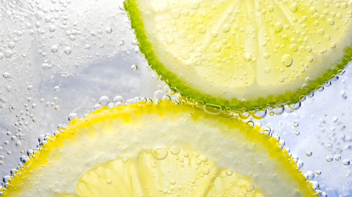 Delicious slice of lime and slice of lemon in carbonated water drink
